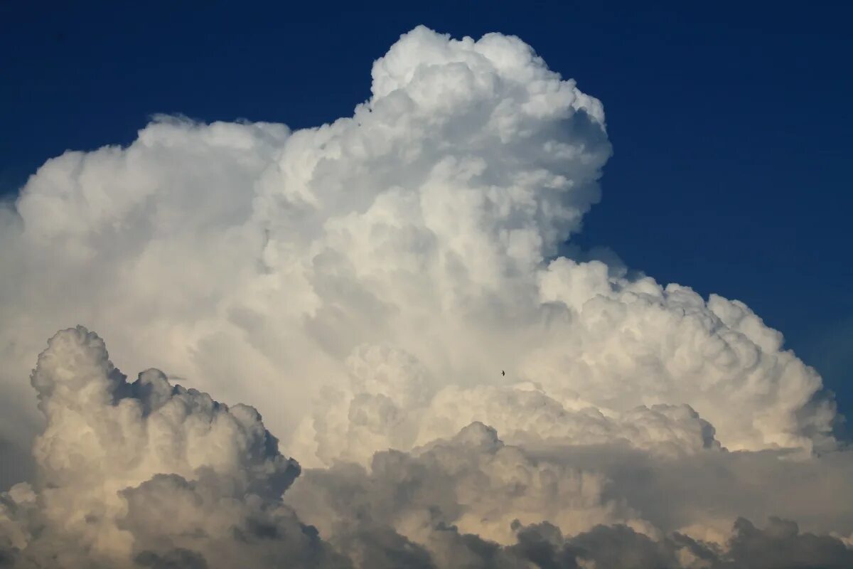 Облако картинка. Кучевые грозовые облака. Облака. Высоко Кучевые облака. Небо с облаками.
