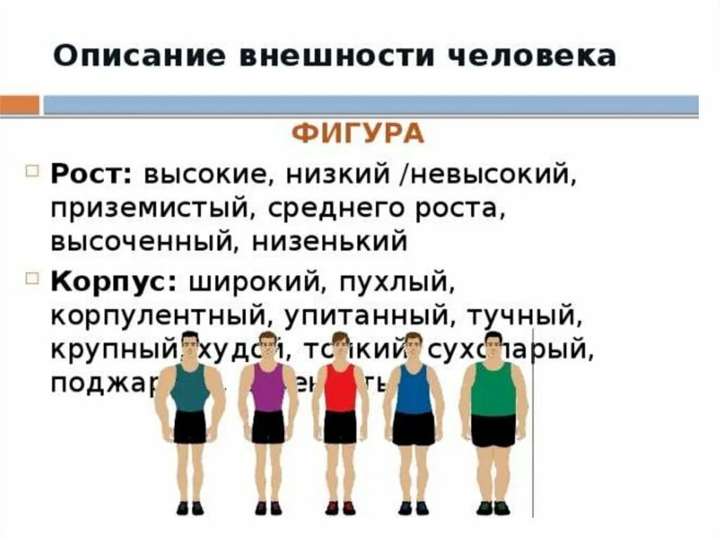 Написать внешность. Описание человека. Описание внешности человека. Описание фигуры человека. Описание внешности человека фигура.