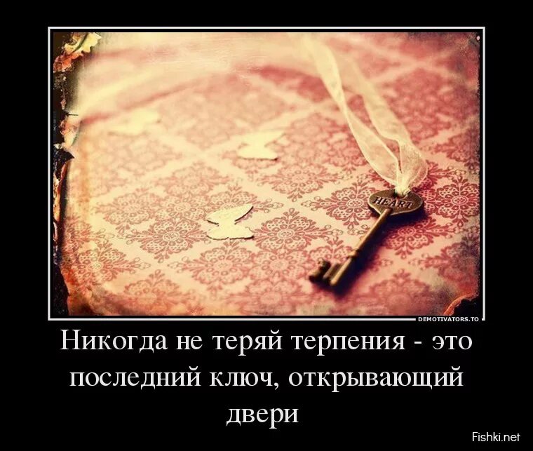 Смысл терпеть. Красивые демотиваторы со смыслом. Никогда не теряй терпения это последний. Терпение демотиватор. Демотиваторы со смыслом про жизнь.