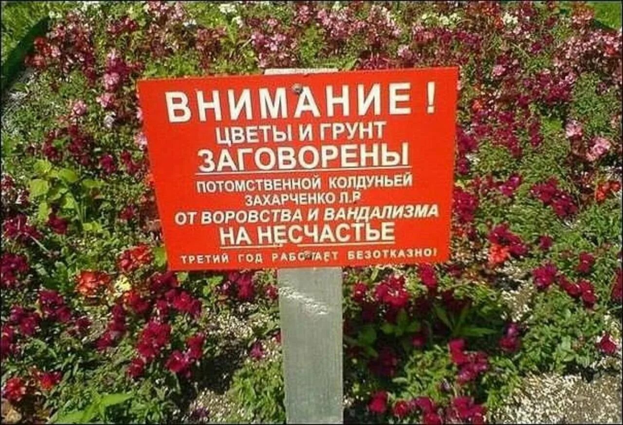 Соседи по несчастью