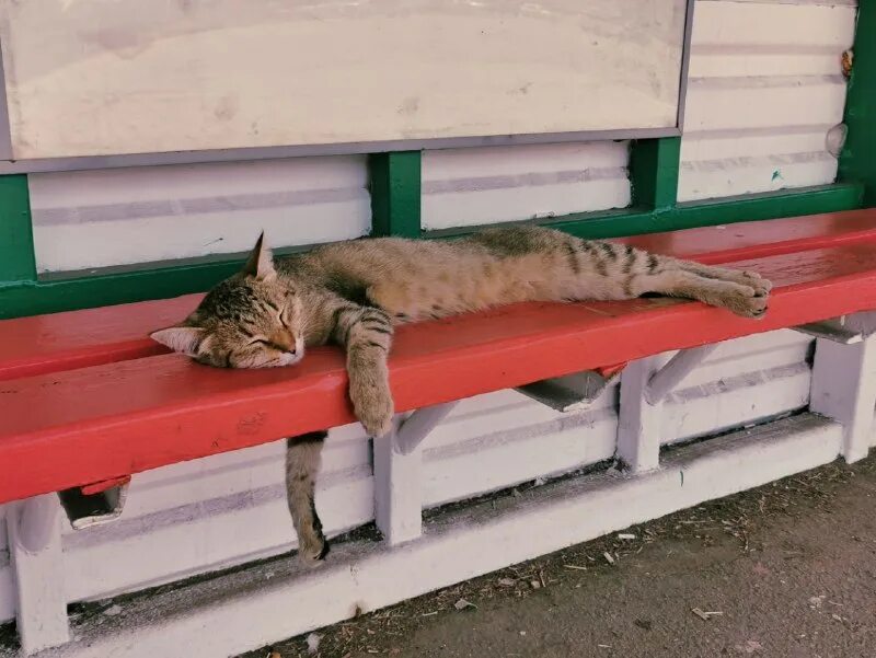 нынче жарко парит на дворе