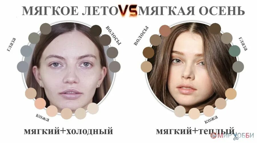 Как отличить мягкий. Мягкая осень и мягкое лето. Цветотип мягкая осень и Холодное лето. Мягкое лето или Холодное. Холодное лето цветотип внешности.