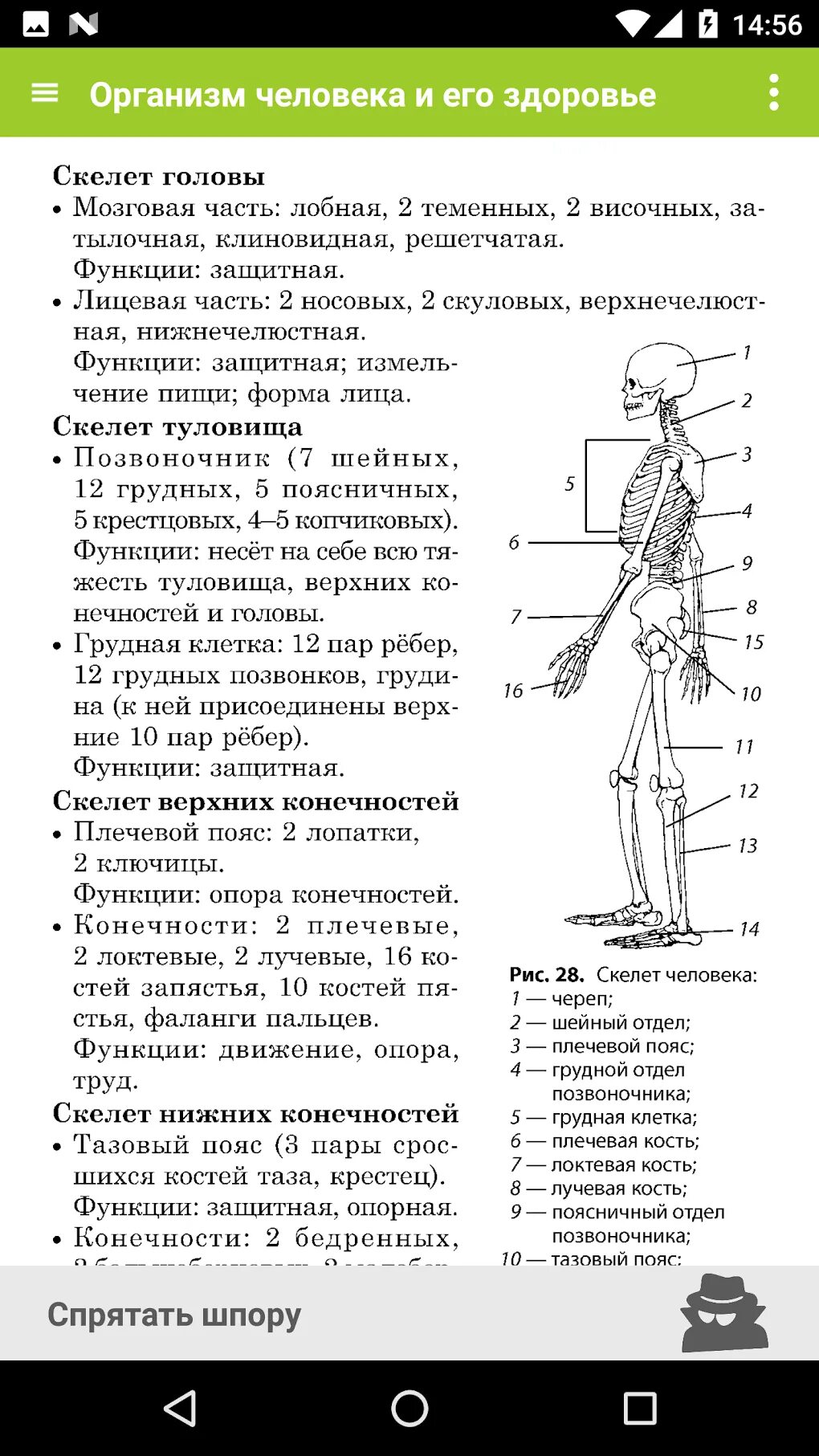 Биология человека егэ. Шпаргалки для ЕГЭ по биологии 2022. Шпаргалки по биологии 8 класс. Шпаргалки по биологии 8 класс человек. Что нужно знать для ОГЭ по биологии.