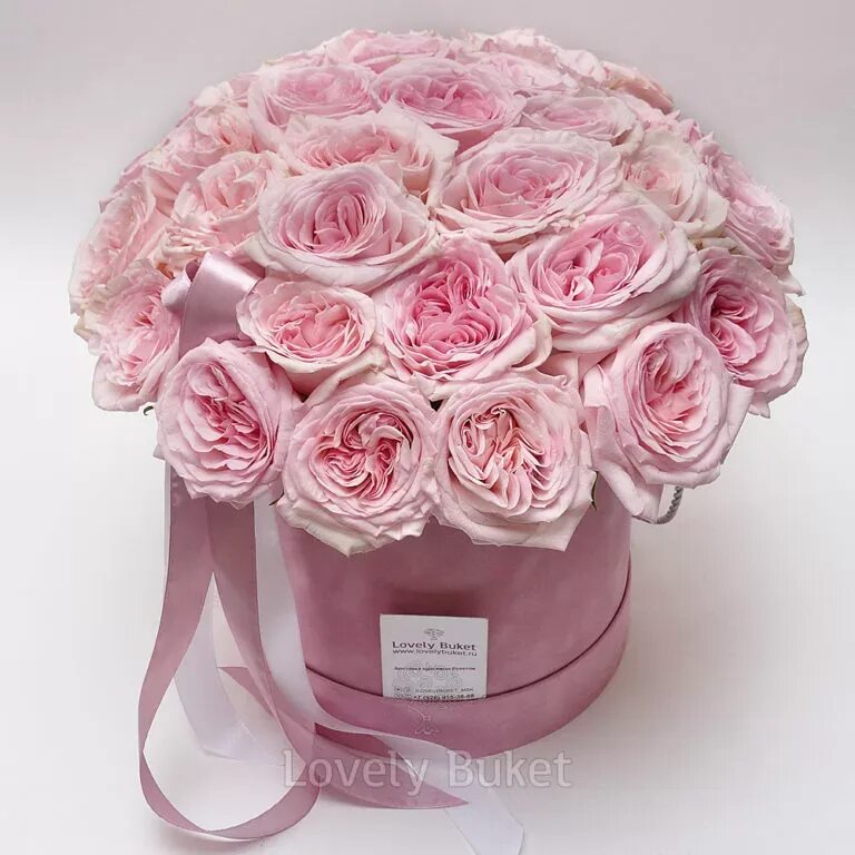 Букет розовый купить. 19 Пионовидных роз. 9 Пионовидных роз букет. 15 Пионовидных роз букет.