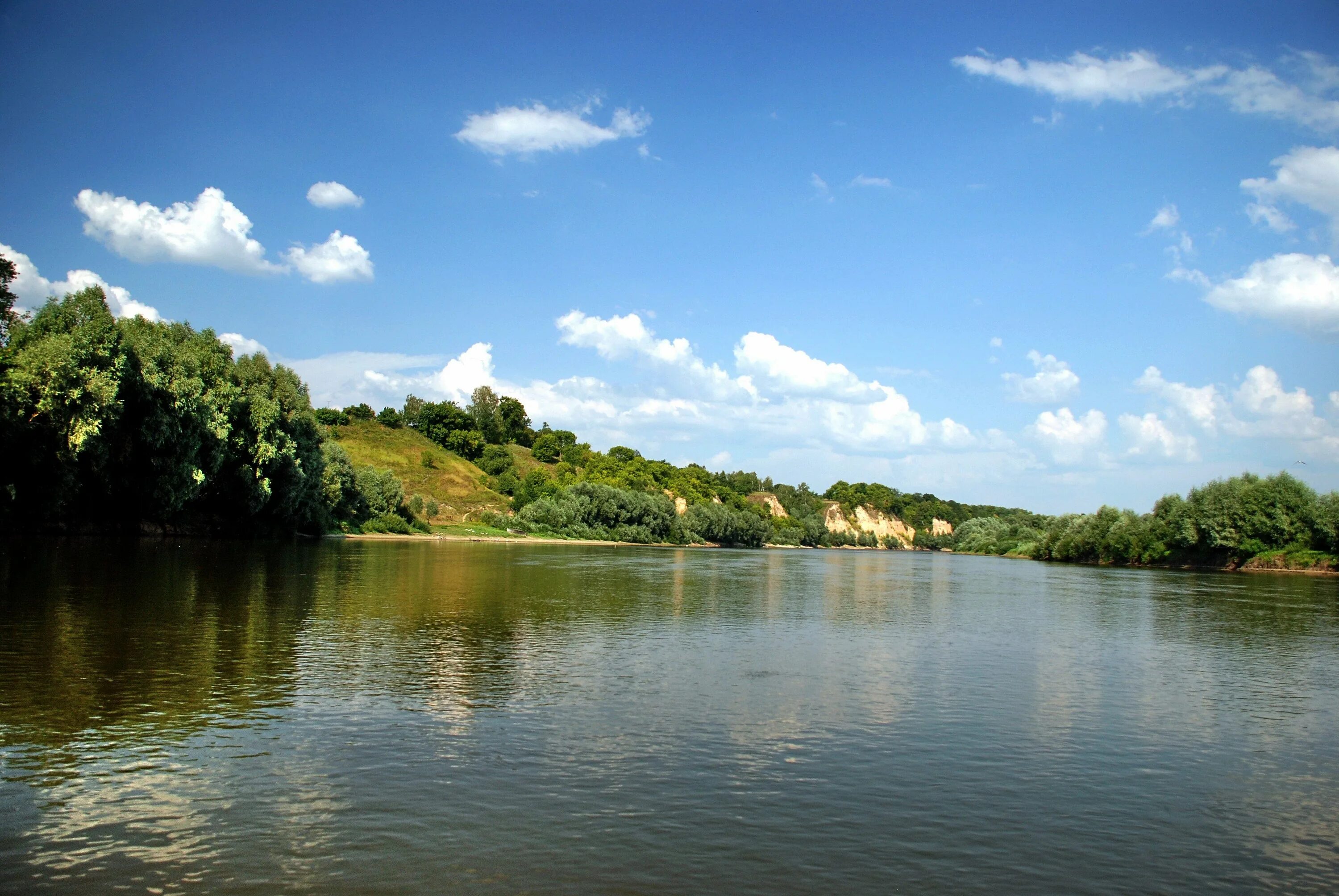 Река Десна Брянск. Десна (приток Днепра). Десна (приток Пахры). Река Десна Троицк. Таежный десна