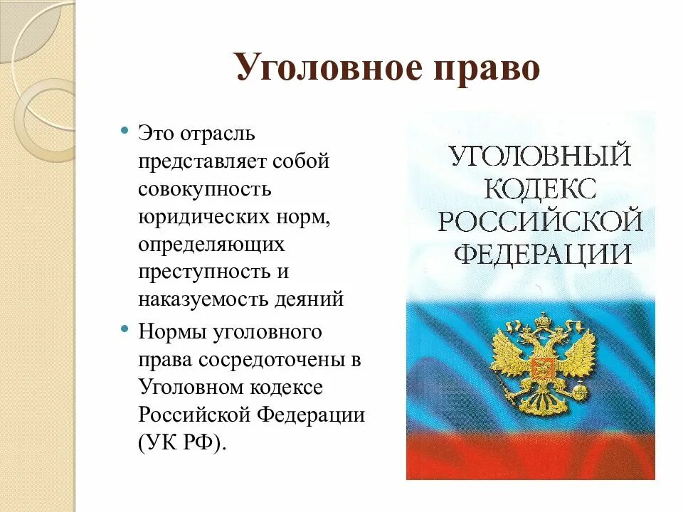 Процессуальное право презентация 10 класс боголюбов. Уголовное право. Уголовное право презентация. Тема для презентации по уголовному праву.