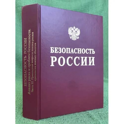 Основы экономической безопасности рф. Безопасность России книга. Махутов безопасность России. Экономическая безопасность РФ. Книга безопасность России Махутов.