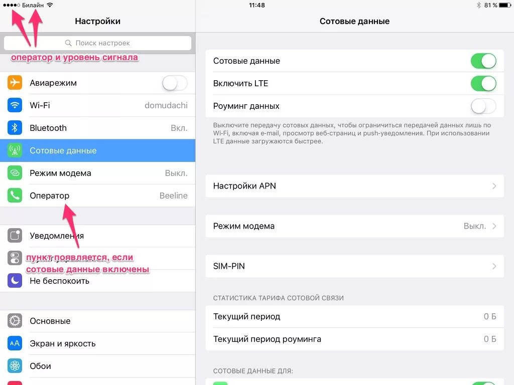 Настройка сотовых данных айфон. Сотовые данные в айфоне что это. Сотовые данные включить. Роуминг данных на айфоне. Сотовые данные настройки.