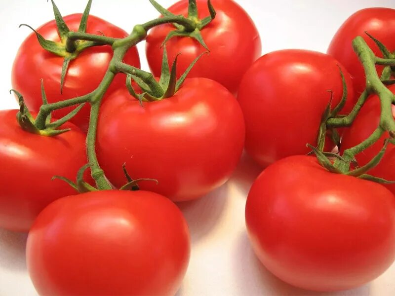 Томат ажур 0,1г седек. Сорт томата ажур. Томат ажур седек. Томат ажур f1. Сорт томата ажур.