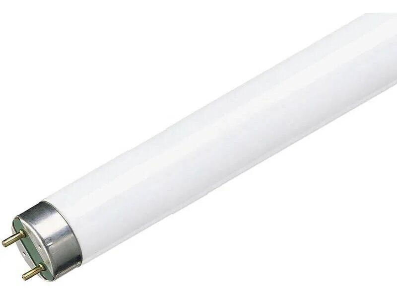 Лампа philips tl d. Лампа т8 люминесцентная. Лампа т8 g13. Лампа ЛЛ 36вт TLD 36вт/640 g13 холодная-белая. Цоколь для люминесцентных ламп т8.