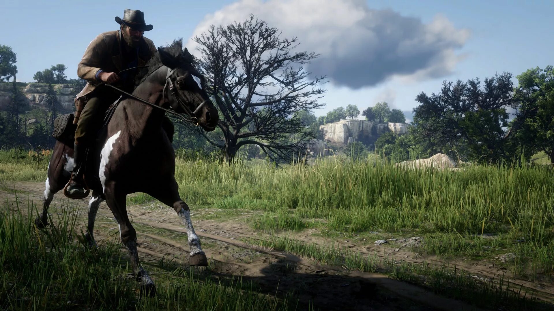 Достижения red dead redemption 2. Rdr 2 пустошь. Red dead redemption 2. Достижения red dead redemption 2. Артур морган red dead redemption 2 зима.