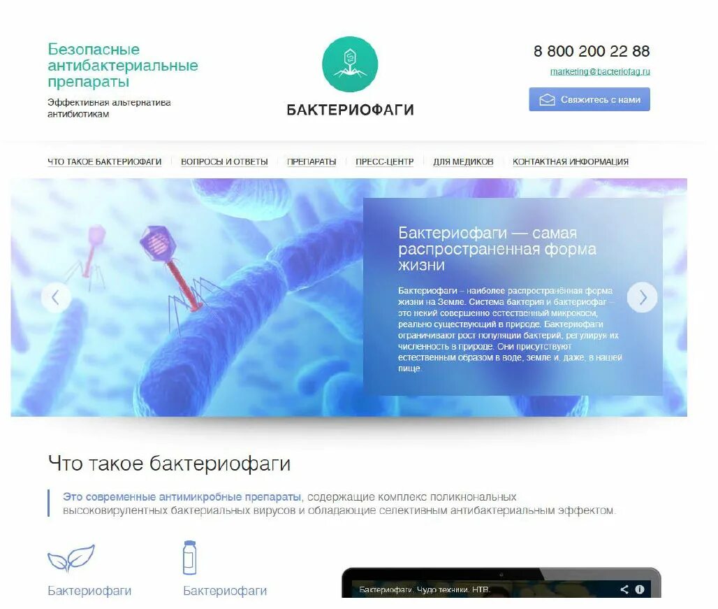 бактериофаги хеликс