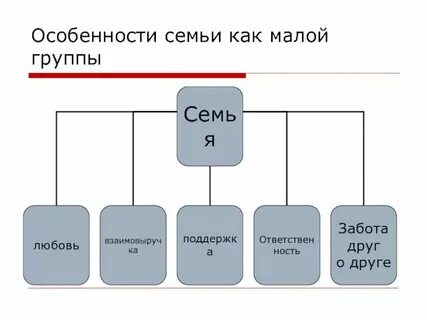 План по обществу социальные группы
