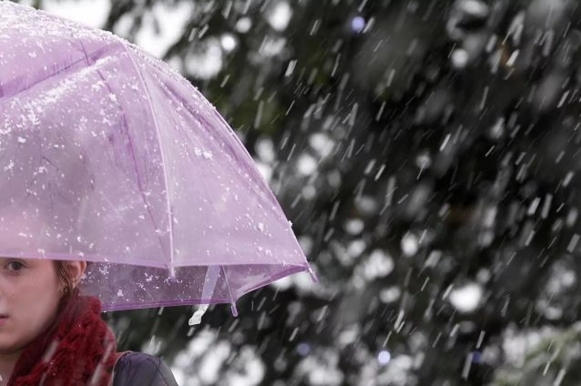 Снег мокрый снег. Снегопад метель. Сильный ветер снегопад. Гололед. Сильный снег.