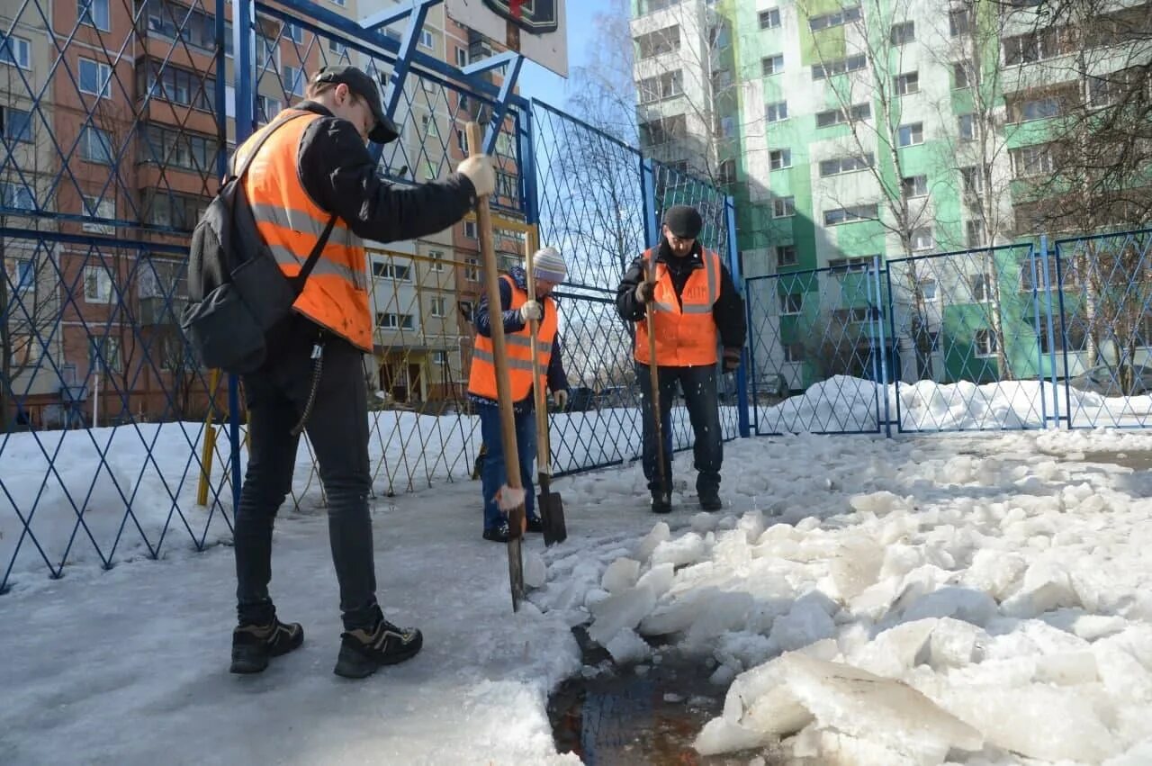 Уборка двора. Уборка дворовых территорий в Подмосковье. Уборка дворовой территории в Московской области.