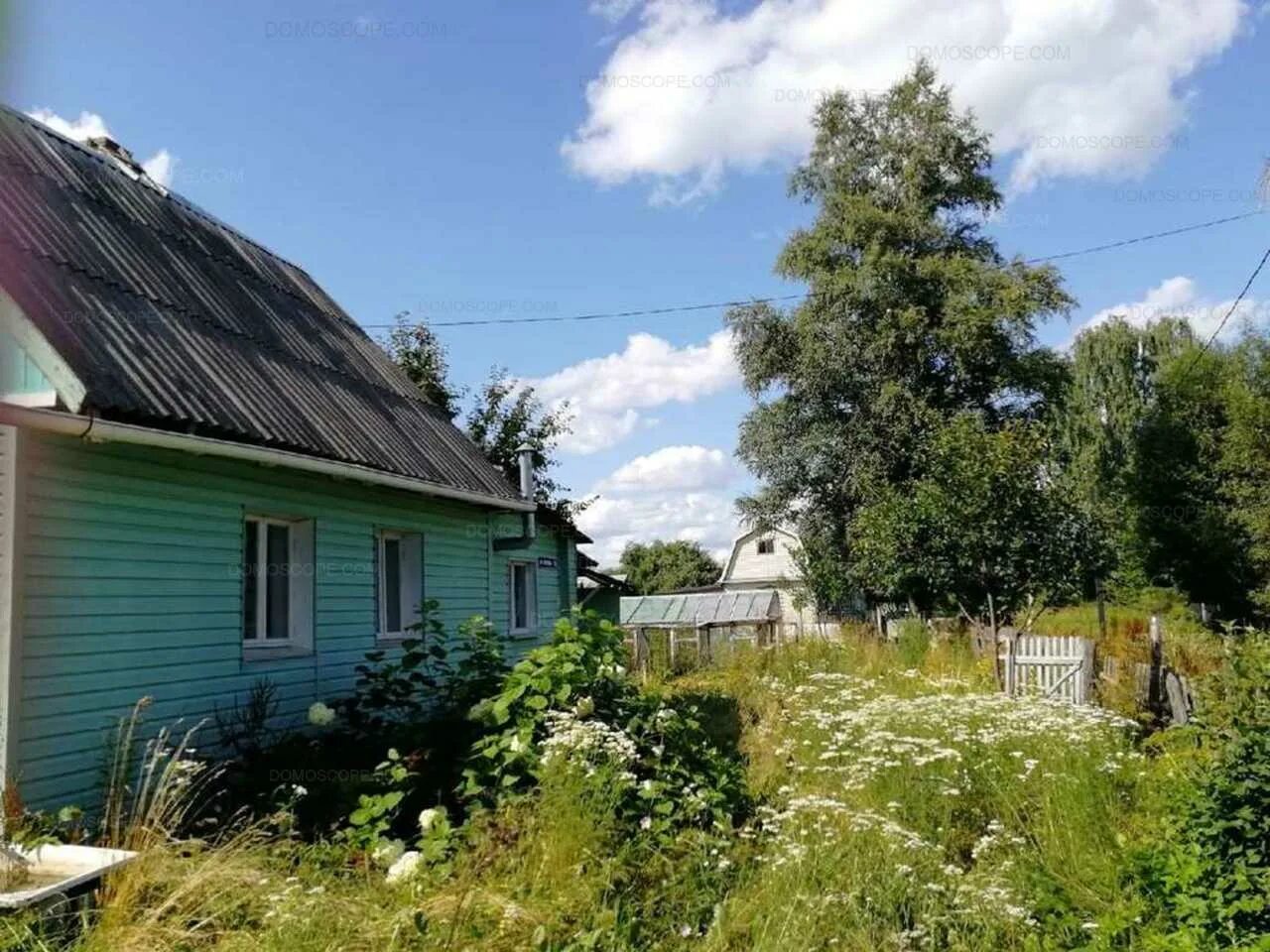 Калининская область деревня русилово. Деревня русилово. Русилово смоленская. Деревня русилово смоленская область. Погода русилово смоленская область.