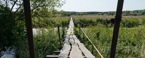 Великая писаревка сумская область новости на сегодня