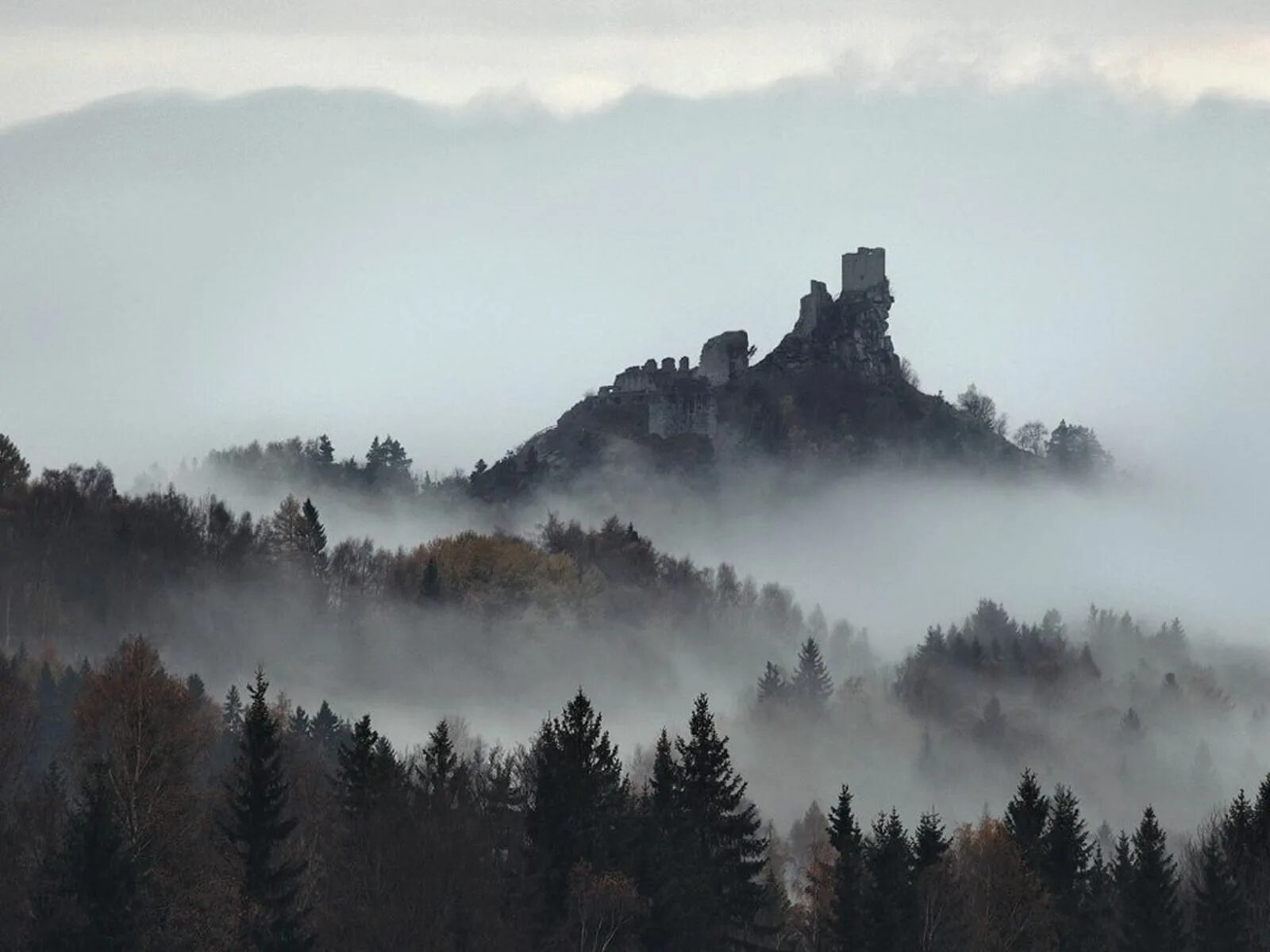 Фотограф: Kilian Schönberger. Скандинавия лес Шварцвальд. Замки в Шварцвальд чёрный лес. Лес Триллемарка-Роллагсфьелл. Загадочные туманы