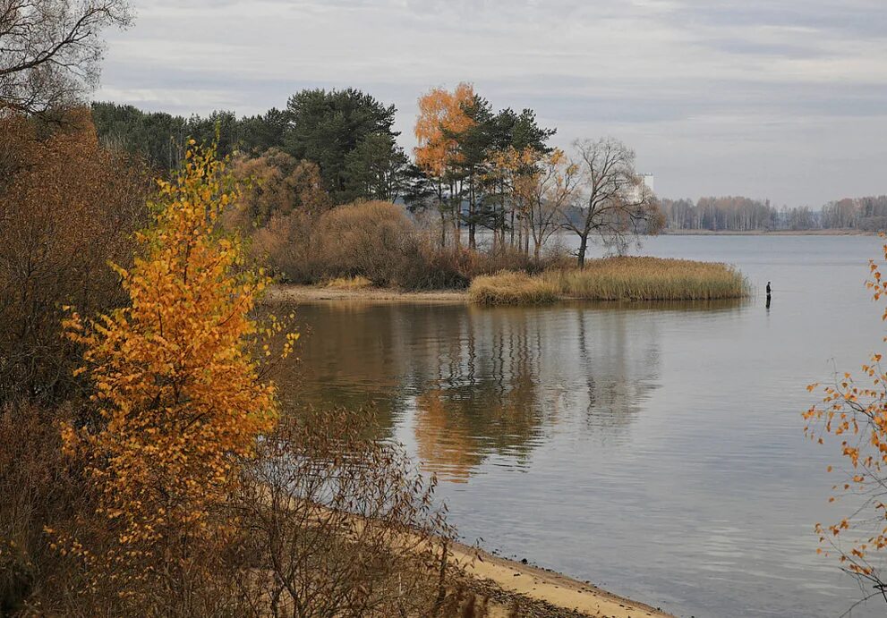 Какое будет лето в беларуси. Заславское водохранилище Минск. Заславское водохранилище водохранилища Белоруссии. Минское море в Белоруссии. Минское море фото.