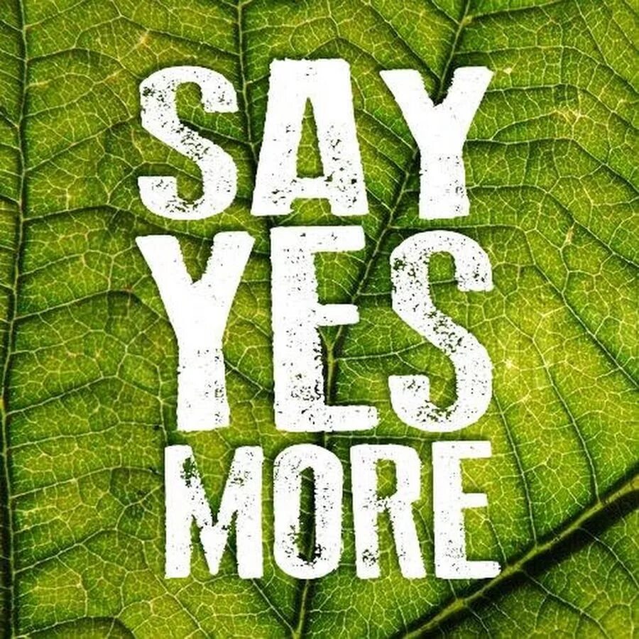 Say Yes. Say Yes more. Say Yes to the World картинка. Бумага say Yes.