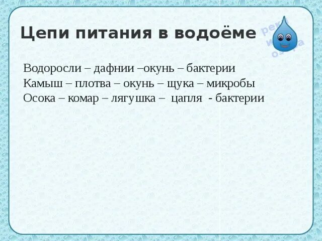 Дафния цепь питания. Цепи питания в водоеме. Цепочка питания водоема. Пищевая цепочка пресного водоема. Пищевая цепь водоема.