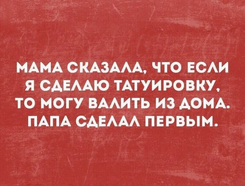 Высказывания о юристах. Сарказм цитаты смешные. Смешное высказывание про женщин и работу. Гениальные цитаты смешные.