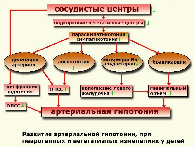 Острая гипотония. Артериальная гипотония симптомы. Артериальная гипотензия причины. Артериальная гипотония причины. Вторичные артериальные гипотензии.