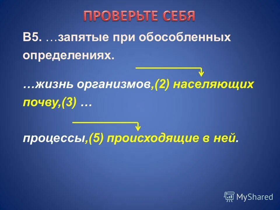 Запятые при приложении. Запятые при приложении