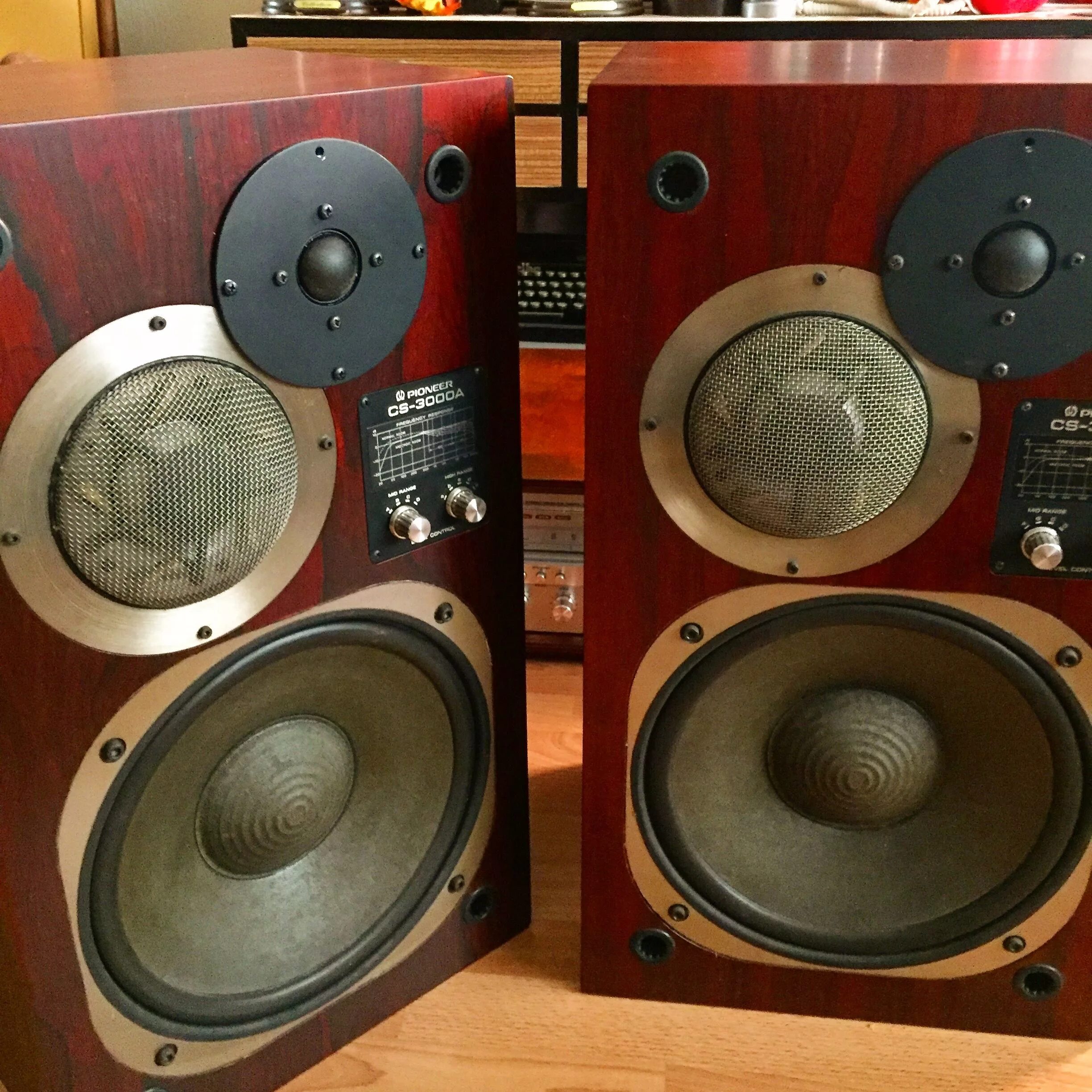 Cs 3000. Pioneer CS 3000. Pioneer CS-t8. Акустика Пионер CS 3000. Pioneer CS a50.