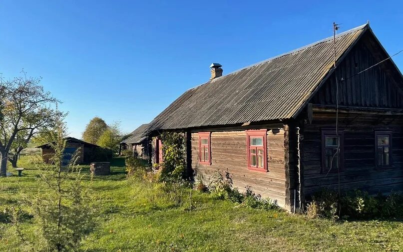 Д Заградье Слуцкий район. Праздник в деревне Мерешино Слуцкого района 2022г.. 100 Летняя бабушка решила продать дом. Для отопления дома бабушка решила