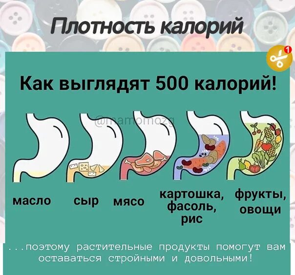 Неделя 500 калорий. Как выглядит 500 ккал. 500 Ккал в продуктах. Как выглядят 400 калорий. Как выглядят 500колорий.