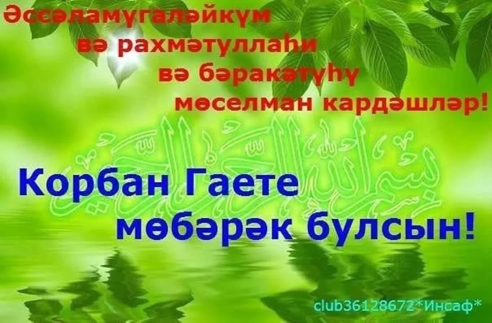 Корбан поздравления. Открытки корбан бэйрэме белэн котлау на татарском. Корбан гаете открытки. Открытки корбан бэйрэме белэн котлау на татарском. Поздравляю с курбан байрамом на татарском языке.