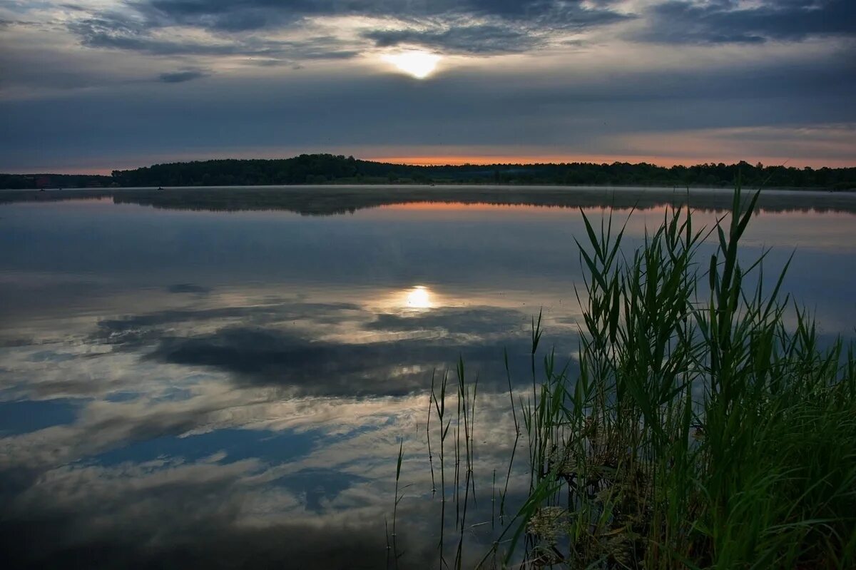 Медвежьи озёра (деревня). Медвежьи озера Щелковский район. Медвежьи озера Балашиха. Медвежьи озера озеро озера Щелковский район. День медвежьих озер