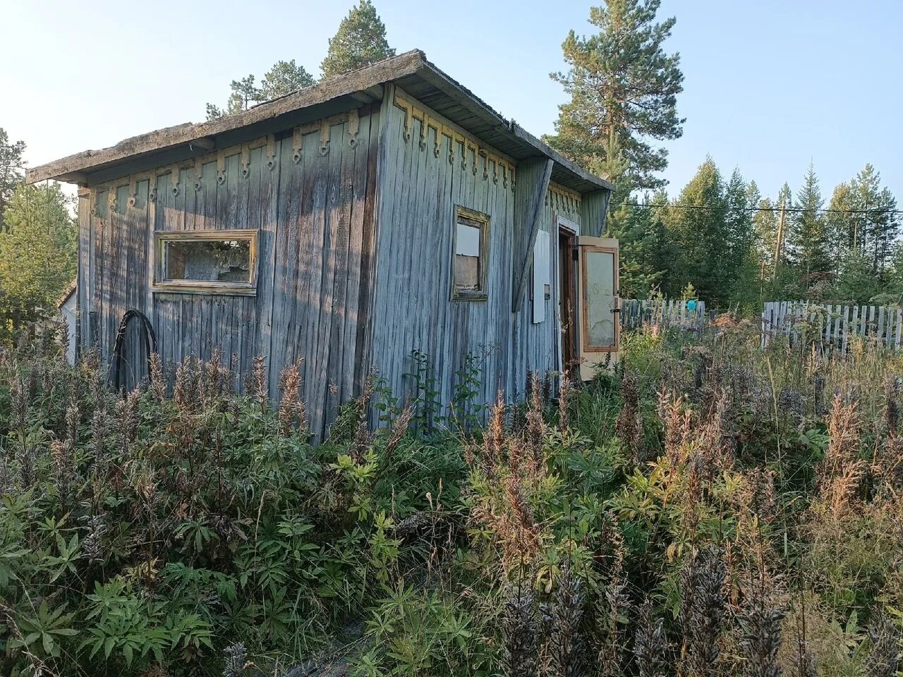 Дачи снт эжва. Николины сады наро-фоминский. Снт эжва. Ромашка дачи эжва. Снт эжва.