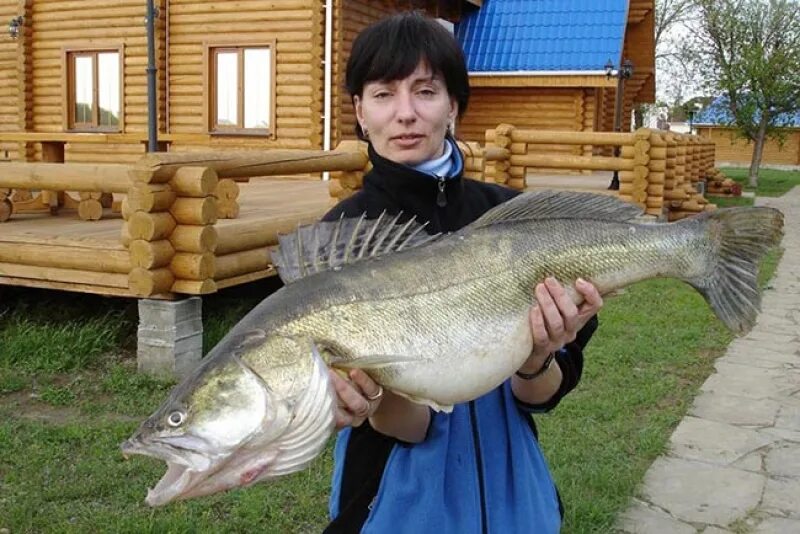 Заволжское астраханская область. База заволжье астраханская область. Погода заволжье астраханская. Погода заволжье астраханская. Сасыколи астраханская область.
