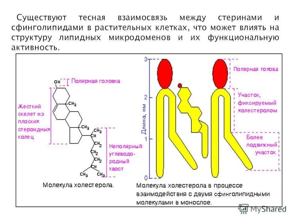 Биохимия примеры. Биохимия и биофизика. Биохимия и молекулярная биология. Биофизика и биохимия различия. Биохимия и биофизика.