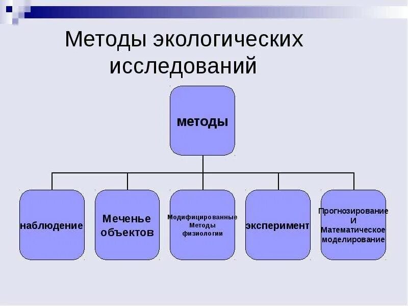 Наблюдение 2 эксперимент 3 моделирование. Методы наблюдения в экологии. методы физиологии наблюдение. метод моделирования экологических исследований. метод наблюдения в физиологии.