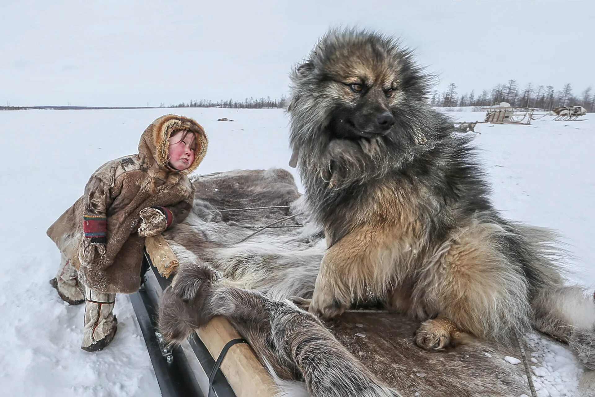 Анисимов фотохудожник Ямал.