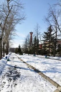 Рыбинск черемуха последние
