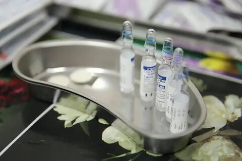 Прививка краснодар
