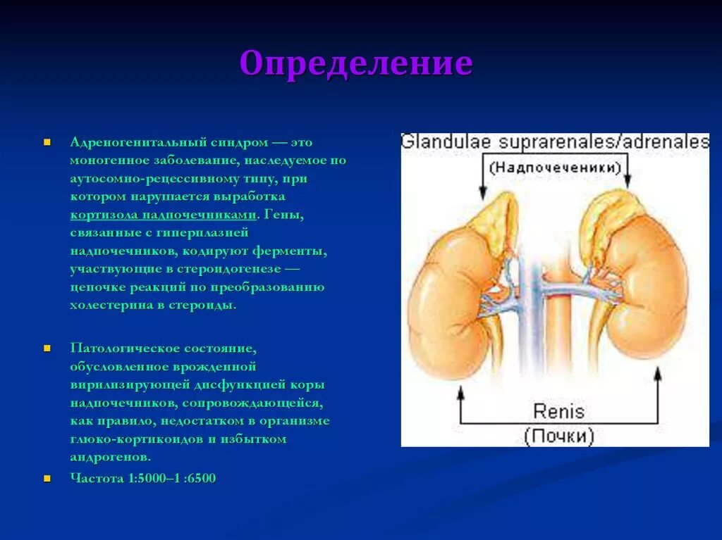 Болят ли надпочечники. Врожденная гипоплазия коры надпочечников. Адреногенитальный синдром. Врожденная гиперплазия надпочечников. Гиперплазия коры надпочечников.