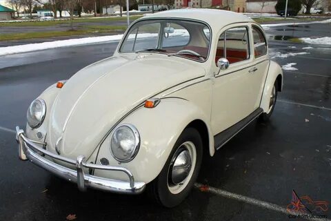 Volkswagen 40
