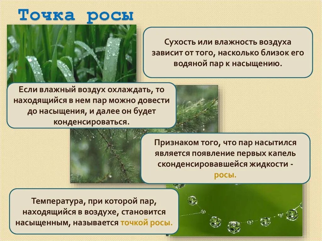 Воздуха; точка росы, измерение влажности.. Влажность воздуха в строительстве. Точка росы влажность. Точка росы простыми словами. Почему выпала роса