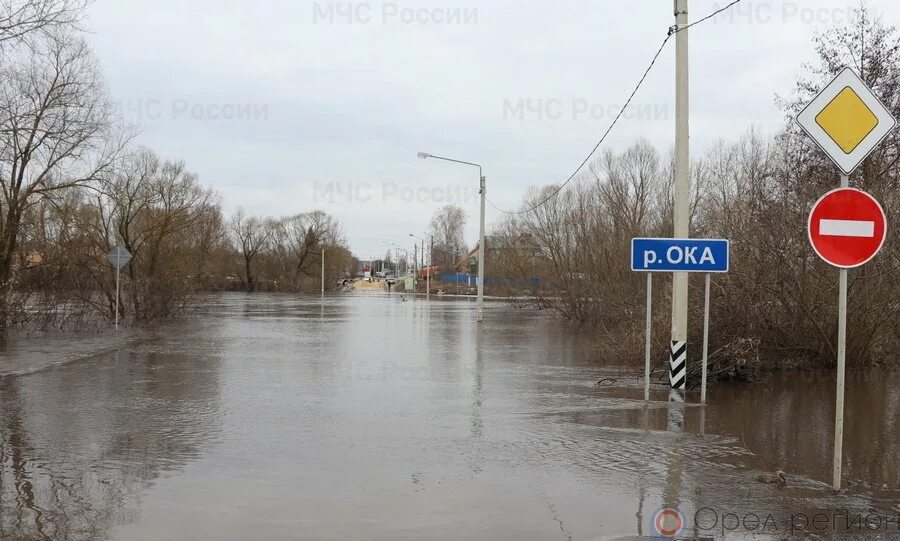 Наводнение в Орле. Подтопление в Орловской области. Наводнение в Орловской области. Река в Орле. Уровень воды в реке в орле