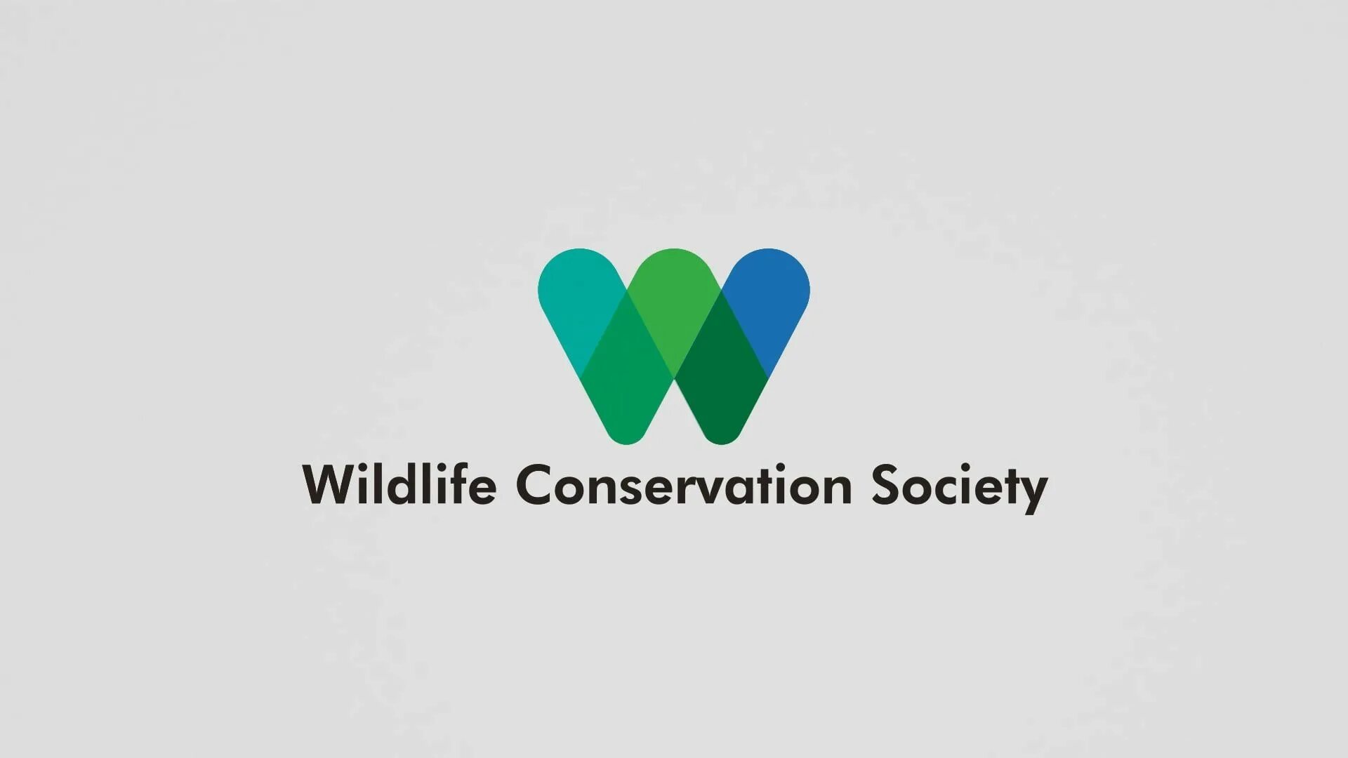 Wildlife conservation. Wildlife Conservation Society. Цшдвдшау сщтмукыфешщт ыщсшнен. WCS общество сохранения диких животных. WCS.