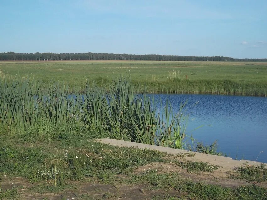 Погода буда кошелевского района. Агрогородок Губичи Буда-Кошелевского района. Сытая Буда Климовский район озеро. Губичи Будо Кошелевский район. Деревня Липиничи Буда-Кошелевского района.