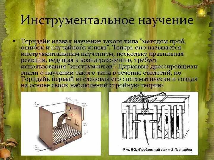 Торндайк научение. "Проблемная клетка" э. Торндайка. Инструментальное научение Торндайк. Принцип научения животных методом проб и ошибок. Проблемный ящик Торндайка принцип научения.