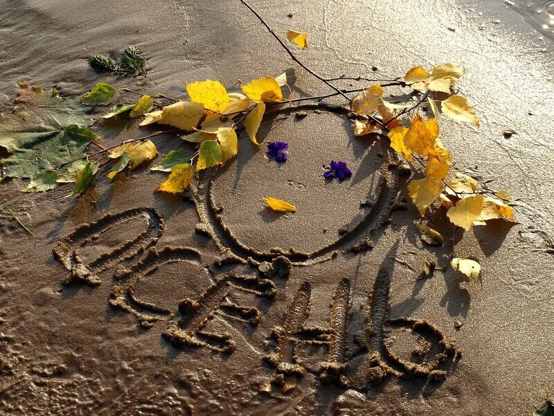 Осень. Сентябрь прежде. Сентябрь прежде. Уходящее лето. Красивая осень.