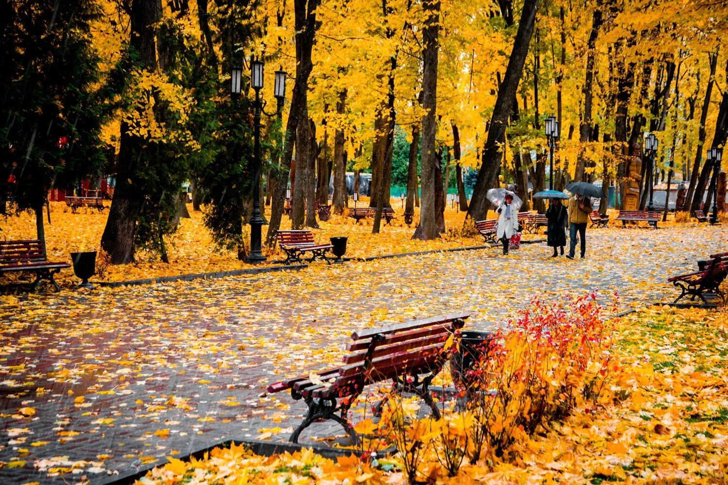 Погулять брянске. Осенняя прогулка. Прогулка осенью. Осень прогулка. Прогулка по осеннему городу.