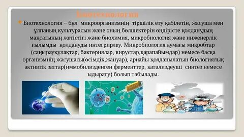 Настя мен Стаффи Мексикадағы демалыс кезінде жыныстық қатынасқа түседі.